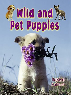 cover image of Wild and Pet Puppies